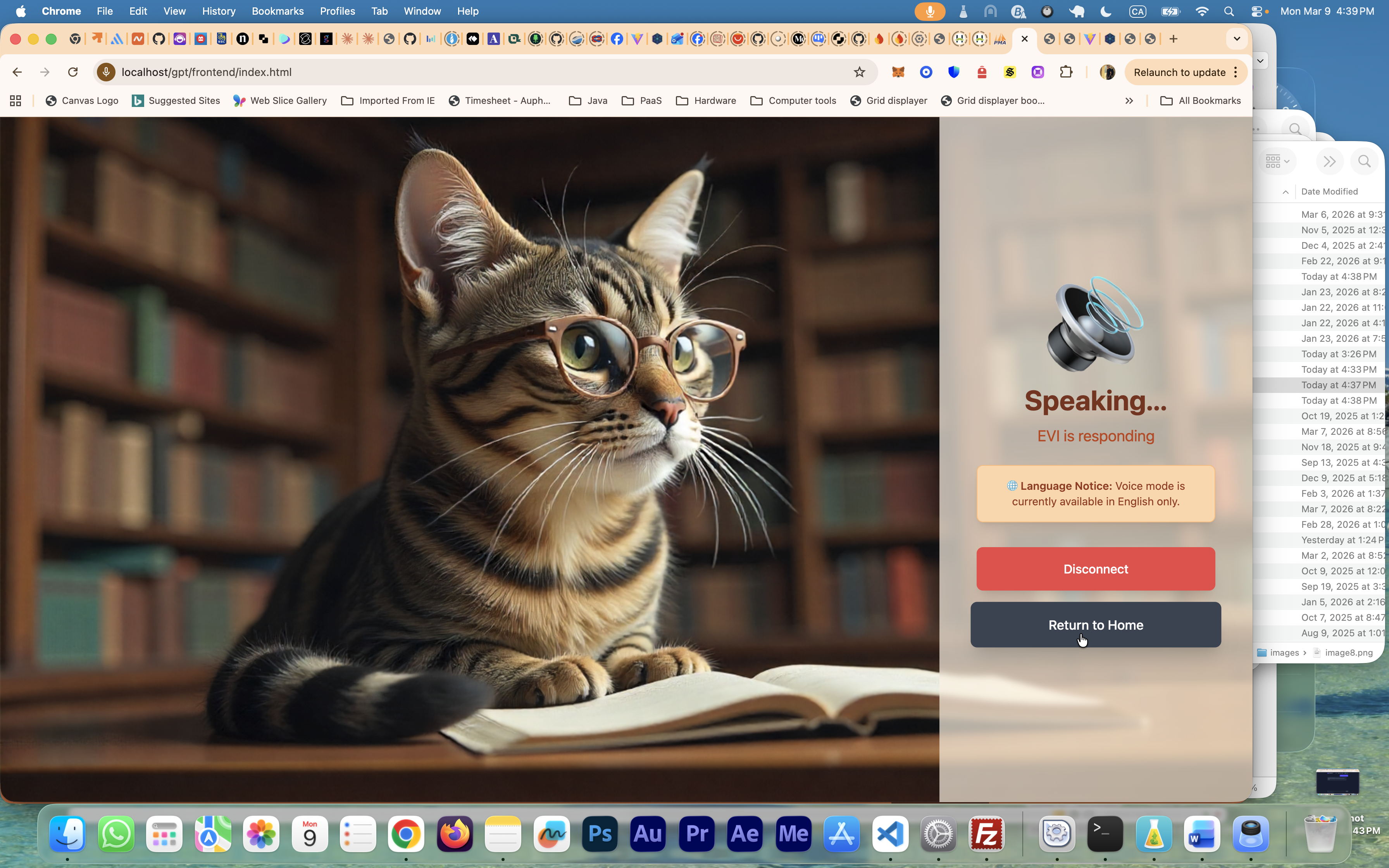 Function0mcp dual Interface